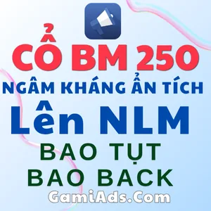 Tài Khoản BM5 Cổ Kháng (5 TKQC 250$) - Nền Tảng Lên No-Limit Nhanh