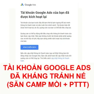 Tài khoản Google Ads Kháng Tránh Né